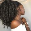 Pony Hairstyles For Natural Hair (Photo 9 of 25)