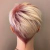 Stacked Pixie Haircuts With V-Cut Nape (Photo 7 of 15)