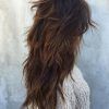 Long Texture-Revealing Layers Hairstyles (Photo 12 of 25)