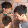 Brunette Pixie Hairstyles (Photo 15 of 15)