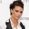 Victoria Beckham Long Hairstyles (Photo 21 of 25)