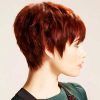 Straight Pixie Hairstyles For Thick Hair (Photo 25 of 25)