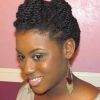 Two Strand Twist Updo Hairstyles For Natural Hair (Photo 9 of 15)