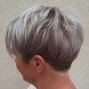 Tapered Gray Pixie Hairstyles With Textured Crown (Photo 4 of 25)