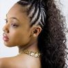 Braided Mohawk Pony Hairstyles With Tight Cornrows (Photo 4 of 25)
