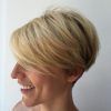 Stacked Pixie Haircuts With V-Cut Nape (Photo 6 of 15)