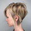 Rounded Pixie Bob Haircuts With Blonde Balayage (Photo 5 of 25)