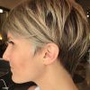 Stacked Pixie Haircuts With V-Cut Nape (Photo 15 of 15)