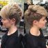The 25 Best Collection of Short Pixie Haircuts for Fine Hair