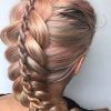 Double Rapunzel Side Rope Braid Hairstyles (Photo 11 of 25)