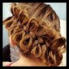 Heart-Shaped Fishtail Under Braid Hairstyles (Photo 14 of 25)