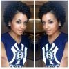 Short Haircuts For Curly Black Hair (Photo 10 of 25)