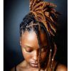 Braided Dreadlock Hairstyles For Women (Photo 11 of 15)