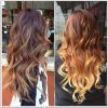Warm-Toned Brown Hairstyles With Caramel Balayage (Photo 18 of 25)