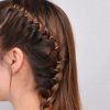 Pigtails Braids With Rings For Thin Hair (Photo 7 of 15)