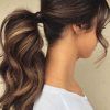 Elegant Ponytail Hairstyles For Events (Photo 16 of 25)
