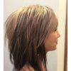 Blunt Bob Haircuts With Layers (Photo 5 of 25)