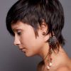 Short Feathered Pixie Hairstyles (Photo 15 of 15)