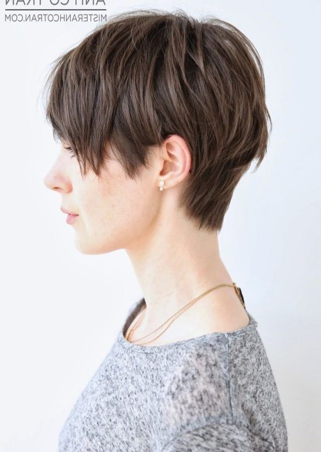 15 the Best Brown Pixie Hairstyles