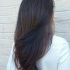 Black And Brown Layered Haircuts For Long Hair (Photo 22 of 25)
