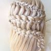 Loose 4-Strand Rope Braid Hairstyles (Photo 14 of 25)