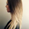 Layered Ombre For Long Hairstyles (Photo 1 of 25)
