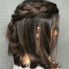 Braided Shoulder Length Hairstyles (Photo 16 of 25)