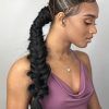 Micro Braids In Side Fishtail Braid (Photo 12 of 25)