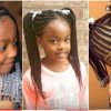 Nigerian Braid Hairstyles (Photo 15 of 15)