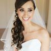 Half Up With Veil Wedding Hairstyles (Photo 3 of 15)