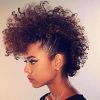 Faux Mohawk Hairstyles With Natural Tresses (Photo 6 of 25)