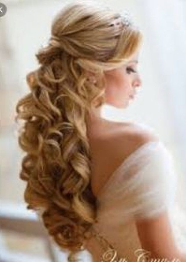 2024 Latest Partial Updo for Long Hair