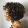 Short Curly Hairstyles (Photo 12 of 25)