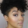 Natural Curly Hair Mohawk Hairstyles (Photo 18 of 25)