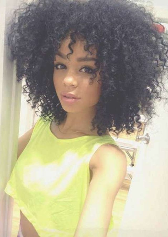 2024 Best of Afro Bob Haircuts