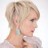2024 Latest Pixie Hairstyles with Long on Top