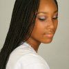 Twists And Braid Hairstyles (Photo 18 of 25)