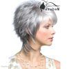 Shaggy Hairstyles For Gray Hair (Photo 6 of 15)