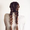 Braids Hairstyles For Long Thick Hair (Photo 18 of 25)