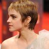 Stylish Grown Out Pixie Hairstyles (Photo 16 of 25)