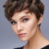 Plum Brown Pixie Haircuts For Naturally Curly Hair (Photo 9 of 25)