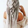 Long Hairstyles Braids (Photo 6 of 25)