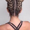 A Layered Array Of Braids Hairstyles (Photo 15 of 25)