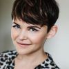 Layered Tapered Pixie Hairstyles For Thick Hair (Photo 15 of 25)