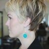 Gray Pixie Hairstyles For Thick Hair (Photo 21 of 25)