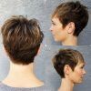 Pixie Bob Hairstyles With Soft Blonde Highlights (Photo 10 of 25)