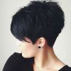 Sexy Pixie Hairstyles With Rocker Texture (Photo 14 of 25)