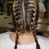 Double Braided Hairstyles (Photo 14 of 25)