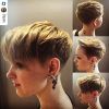 Bronde Balayage Pixie Haircuts With V-Cut Nape (Photo 23 of 25)