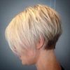 Sculptured Long Top Short Sides Pixie Hairstyles (Photo 2 of 25)